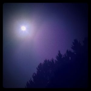 3/$10 and 2/$20 Bundles!